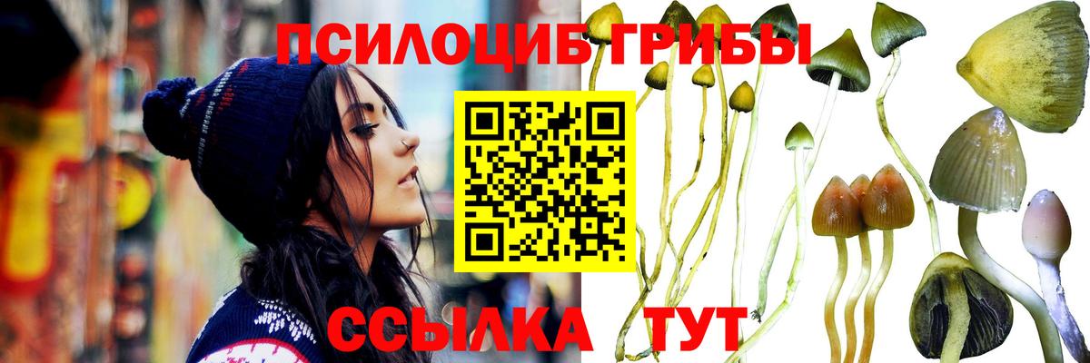 Галлюциногенные грибы ЛСД Пушкино