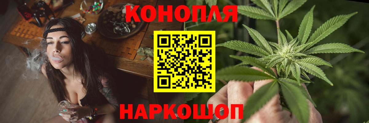 Бошки марихуана план  Вход с VPN  Бошки марихуана Bruce Banner  Пушкино 